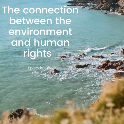 The Connection Between Human Rights And The Environment