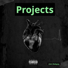 Lbm Babyjay-Projects