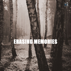 Erasing Memories