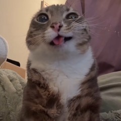 GANGSTERS PARADISE - AI BLUES VERSION