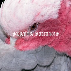 SLAVIA - LOST IN THE JUNGLE MIX Vol.1