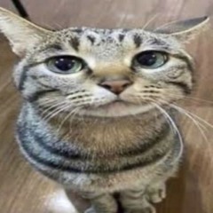 mi mamá me quiere sacar de la casa type beat