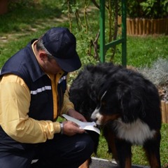 7# PASJA MAMA - ALI VAŠ KUŽA LAJA NA POŠTARJA?