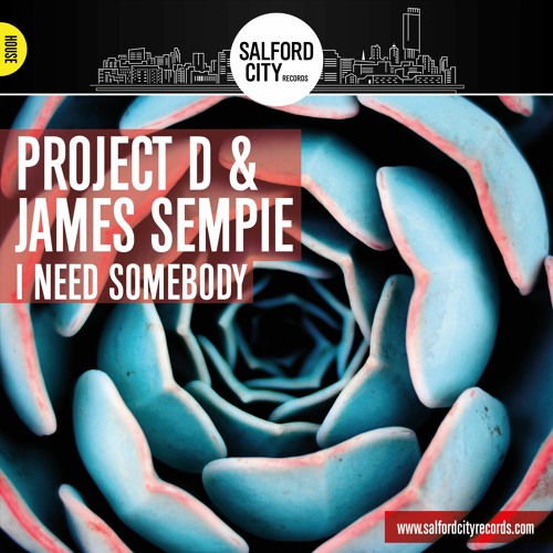 PROJECT D FEAT JAMES SEMPIE - I NEED SOMEBODY SAMPLE