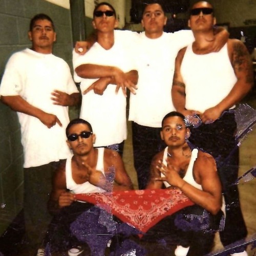 Gang land- shohi jgwap