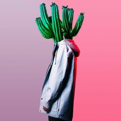 PLÜM - Cactus Dream [Inside Records]