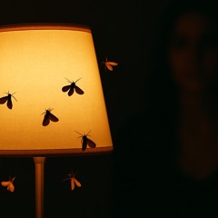 Like moths