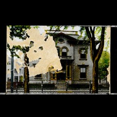 One Look Is All I Ask