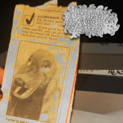 Manifestation Pattern