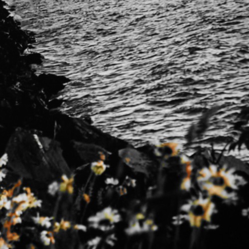 I wanna be adored (Stone Roses)
