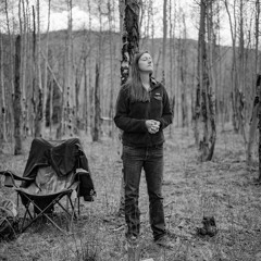 Populus tremuloides: Jaime Kopke