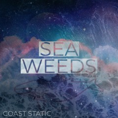 Coast Static - Sea Weeds (Producer Week Beat Contest)