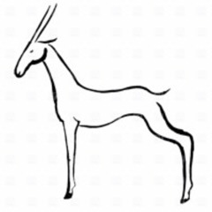 Antilope
