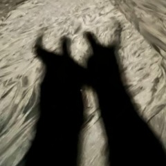 REC - 2022 - 02 - 22