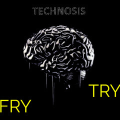 Technosis (Fry Try)