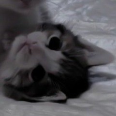 Silly!