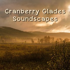 Cranberry Glades Soundscapes