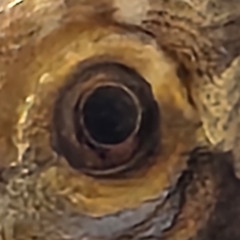 doing bad (prod. baplab)