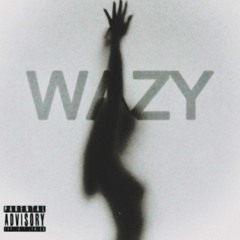At The Party remix Siah mese barf ( WAZY )