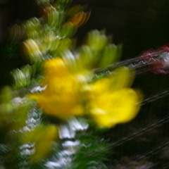 The Early Bird Show w/ PAM 131125