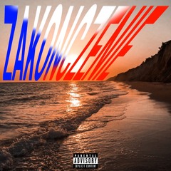 Zakończenie (Prod.By Twins) Feat. Old Kasti, Młody salcespn