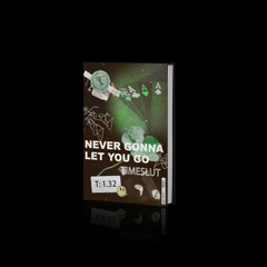 TimeSlut  - Never Gonna Let You Go