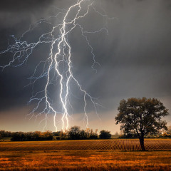 The Snake Releases Its Tail