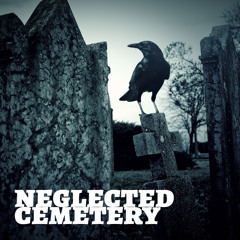 Is This Neglected Cemetery Haunted?