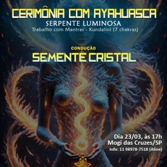 Cerimônia de Ayahuasca Kundalini pt1