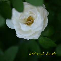 الضوضاء البيضاء ، الشلال
