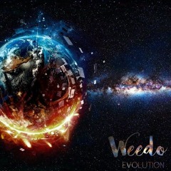 WEEDO - Mais t'étais ou? #dubrootsgirlmusicselection Reggae Ragga Français