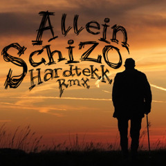 ALLEIN [SCHIZO HARDTEKK RMX]