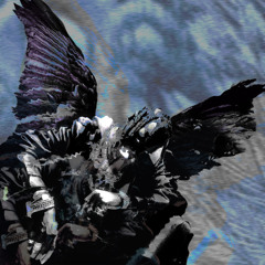goosebumps (birdsimulation remix)