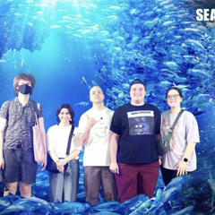 Aquarium 🪼🪼🪼
