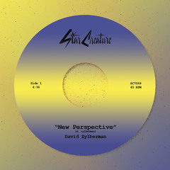 New Perspective
