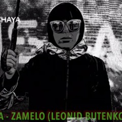 INSHAYA-Zamelo( Leonid Butenko Remix) 2020