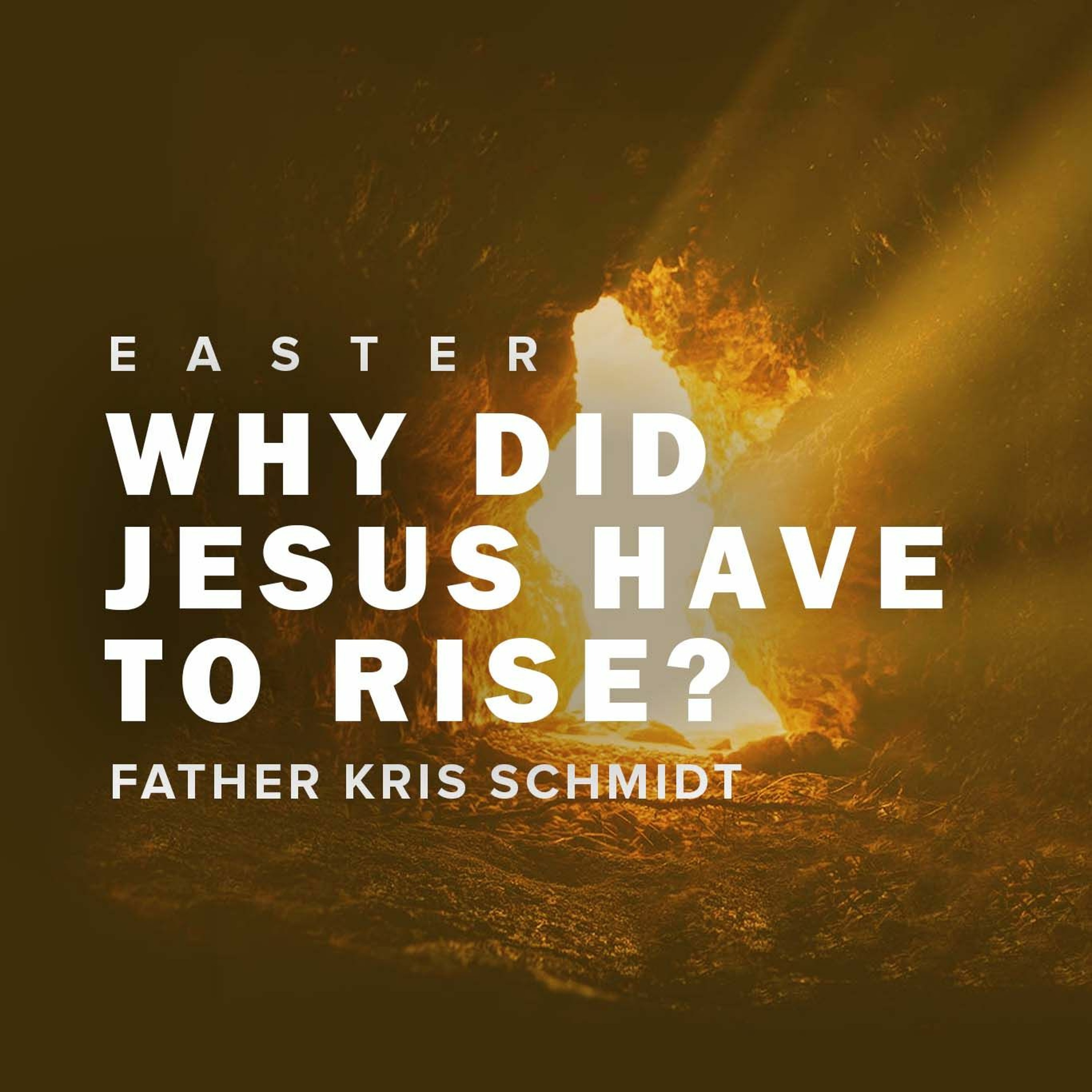 Why Did Jesus Have to Rise? | Easter Triduum episode artwork