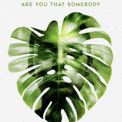 Are You That Somebody Unified Highway/Aaliyah Cover