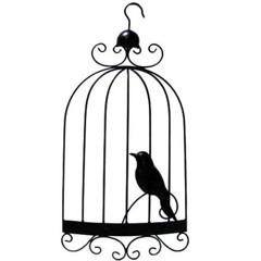 Caged Little Bird