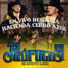 Alineando Cabrones (En Vivo)