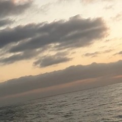 Back To Earth (Live From The Waves)