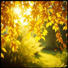 Dj.DamianR - Leaves in the Gardens (Poems by Roma Lemańska)