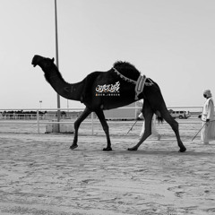 ‎⁨‏من بغى الناموس يشري مطيرة المنام l سلطان بن محسن ⁩
