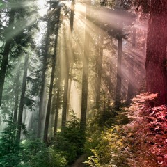 One Love / People Get Ready [cover] (ft. Lauren Blackwell)