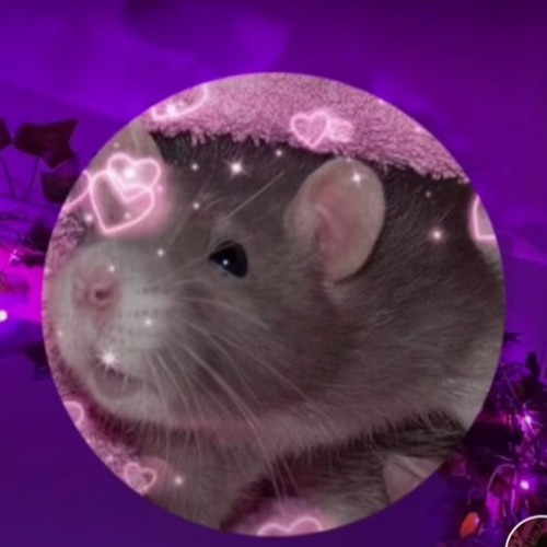 Rat Atttack