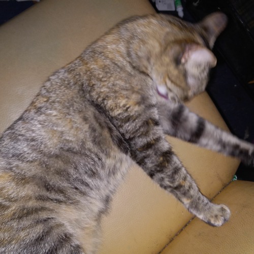 Xmas2012 ResILIance Is Fertile08028