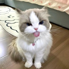 Tình-Yêu-Buông-Tha-Cho-Chúng- Ta-remix(Hot) TikTok