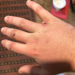 Breaking Bad / Bonnie Blue pt 2 (Prod. purc)