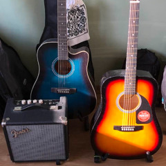 Viv Woman by Steve Vai (acoustic guitar intro riff cover)