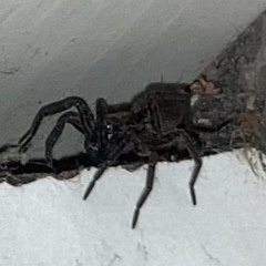 Säg Mitt Namn demo 2025